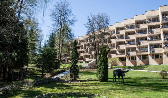 ZVENIGOROD PAIN SCHOOL 2026!